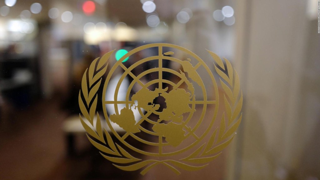 UN: Reports of alleged sexual abuse in Ukraine