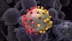 subvariantes ómicron inmunidad