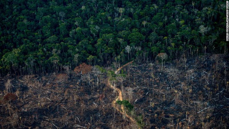 Amazonas deforestación Bolsonaro decreto
