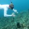 Científicos implementan "hidrófonos" para monitorear los arrecifes de coral