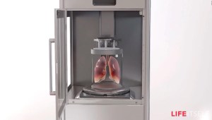 La bioimpresión de órganos en 3D podría ser posible en una década