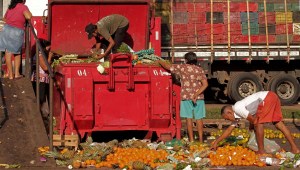 Análisis: situación es "límite" para la alimentación y la pobreza