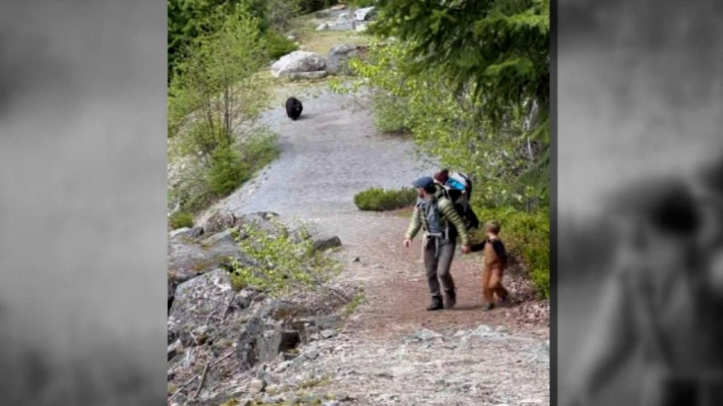 Un oso negro sigue a una familia durante 20 minutos de paseo