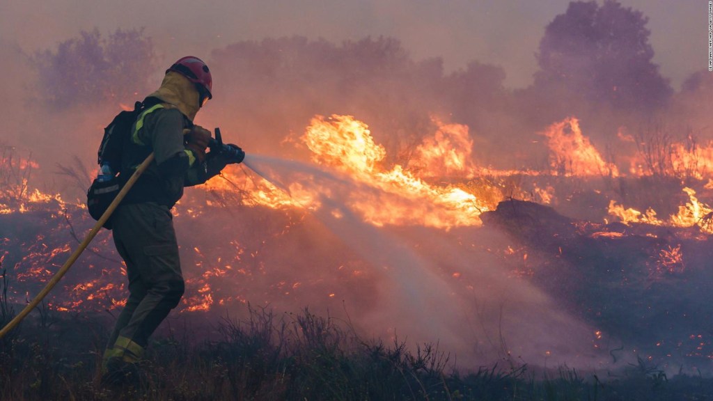 España registra el peor incendio forestal en un siglo