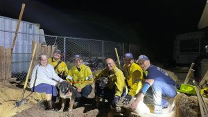 Bomberos rescatan a dos cachorros atrapados por una tortuga