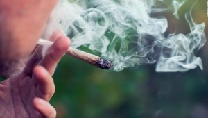 El consumo de marihuana desplazó al tabaco entre los