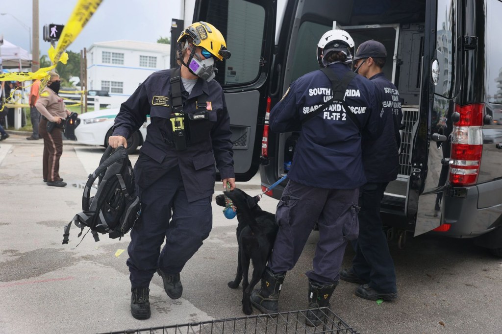 Perros rescatistas ayudaron a los equipos de búsqueda en el lugar. (Foto: Joe Raedle/Getty Images)