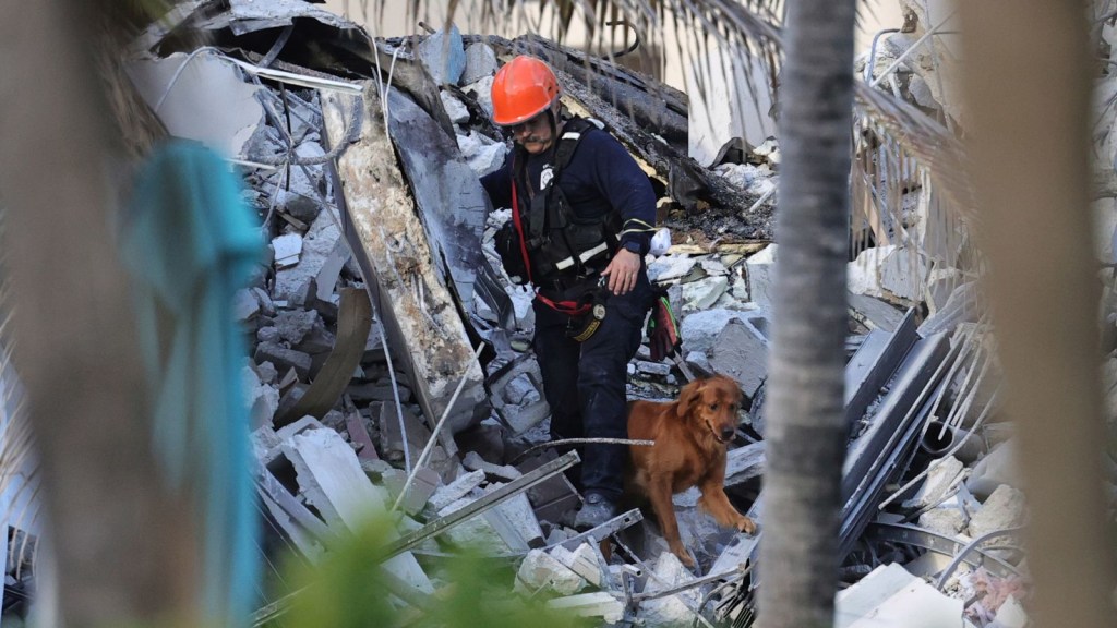 El personal de rescate busca entre los escombros con perros. (Foto: David Santiago/Miami Herald/AP)
