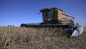 Argentina: suba de precios de la soja compensa caída de exportaciones