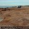 Un niño de 8 años encontró restos fósiles en la playa