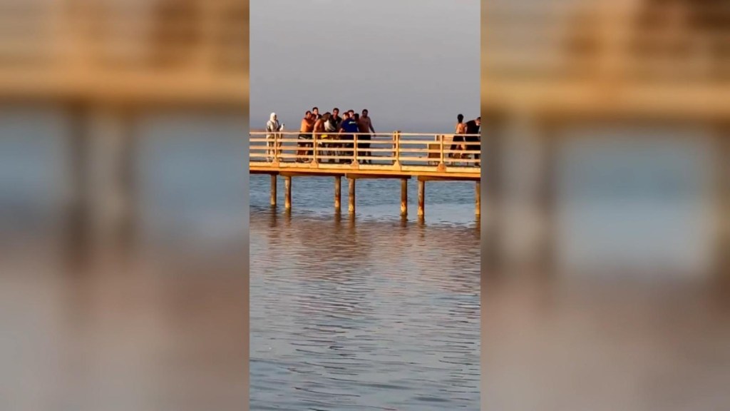Un grupo de personas ayuda a una mujer atacada por un tiburón