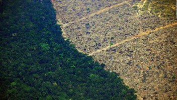 ¿Cuáles son las consecuencias de la acelerada deforestación en la Amazonía? Oppenheimer responde