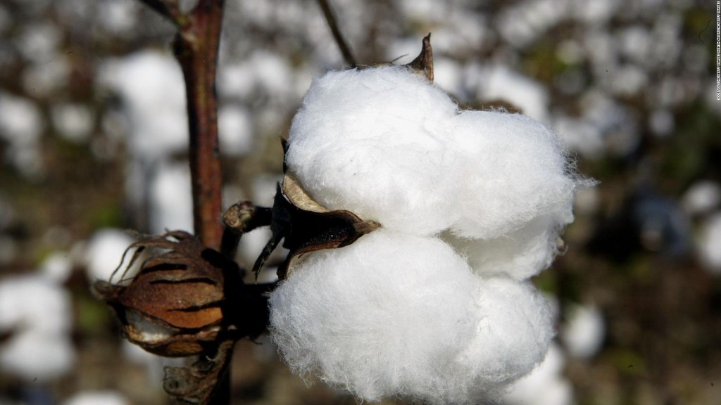 US cotton price falls