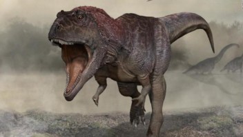 Conoce nueva especie de dinosaurio descubierta en Argentina