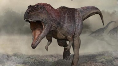 Dinosaurios: tema, información y noticias Dinosaurios | CNN