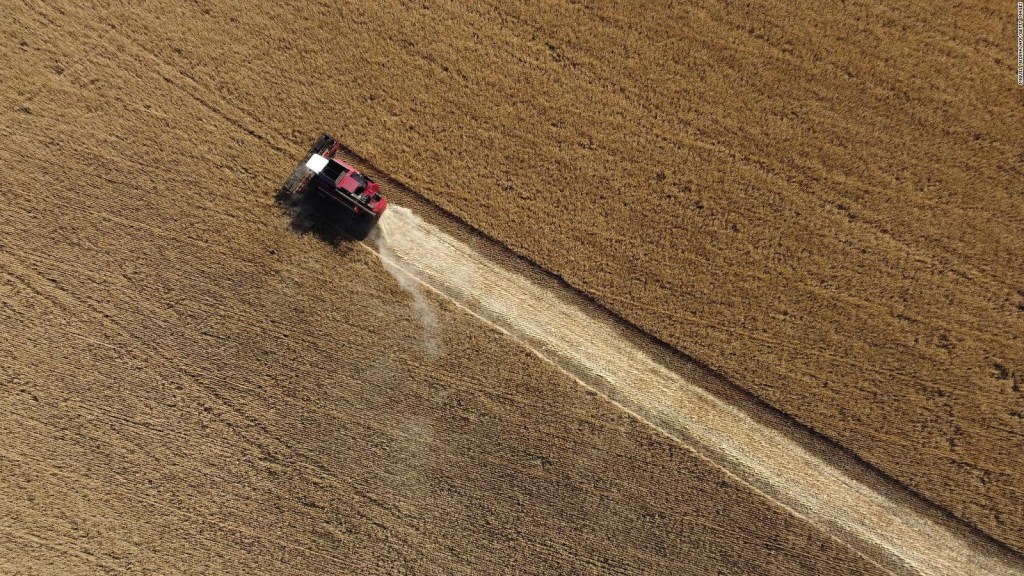 Ucrania tiene 120 días para exportar granos