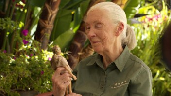 Jane Goodall barbie