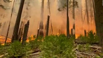 5 cosas: bomberos luchan contra incendio en el Parque Yosemite