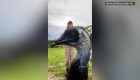Mira por qué este emú se hizo viral en internet