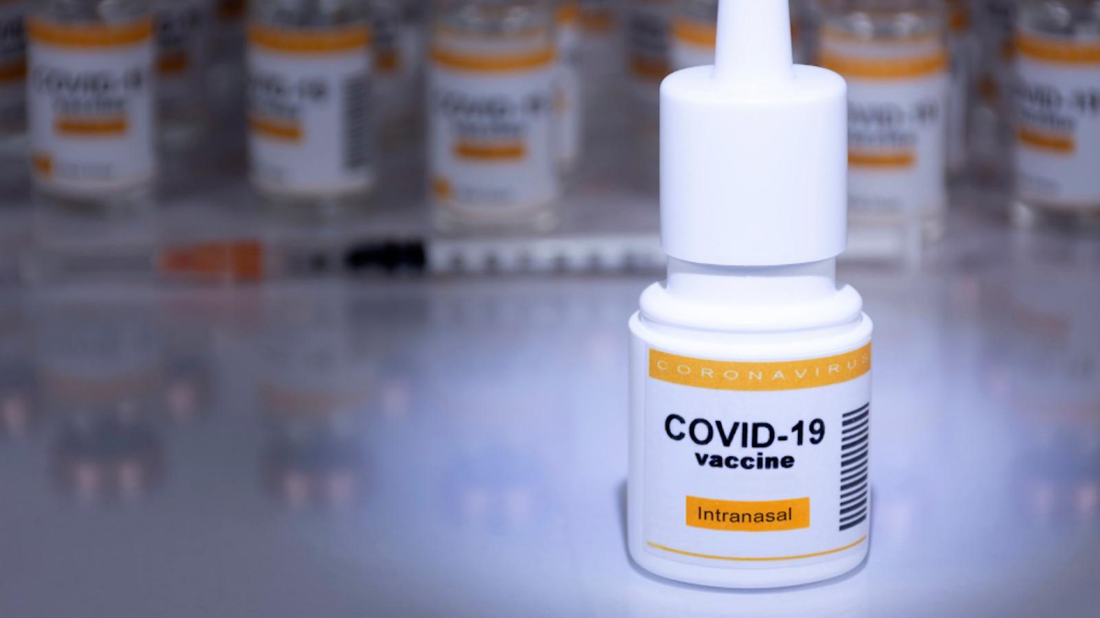 They test new nasal and oral vaccines against covid-19