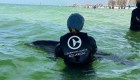 Liberan a una cría de delfín de una trampa para cangrejos