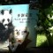 Murió An An, el panda gigante más viejo del mundo
