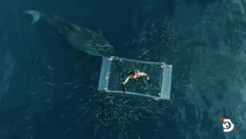 Mira el impresionante video del contacto de un buzo con un tiburón blanco