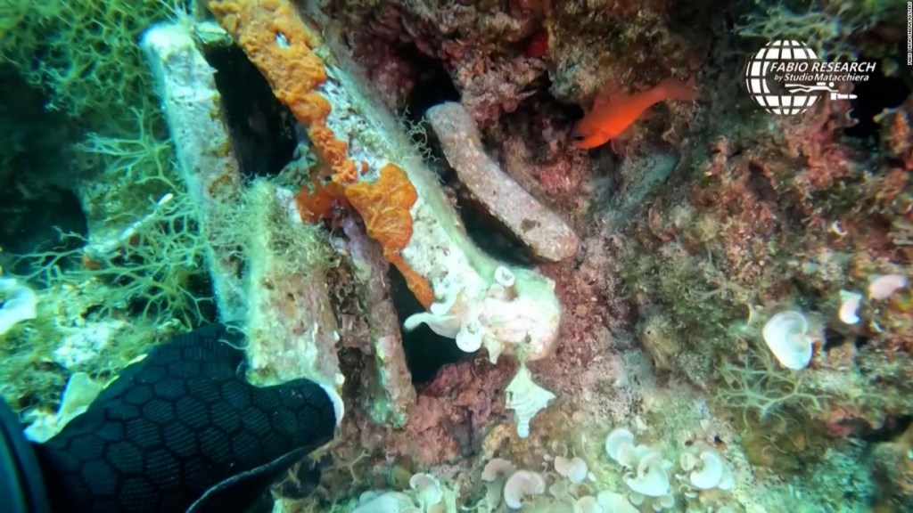 A diver made an important discovery at the bottom of the sea