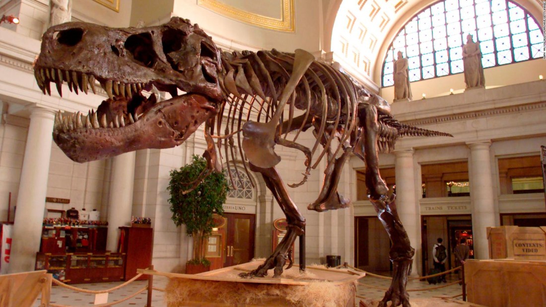 Estudio revela que el Tyrannosaurus rex es el "rey de los dinosaurios"