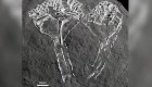 Estos son los restos del depredador más antiguo del mundo