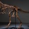 Pagan US$ 6 millones por esqueleto de dinosaurio que podrán nombrar