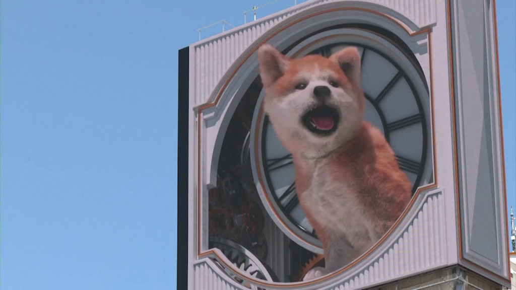 A dog surprises on the billboards of Tokyo