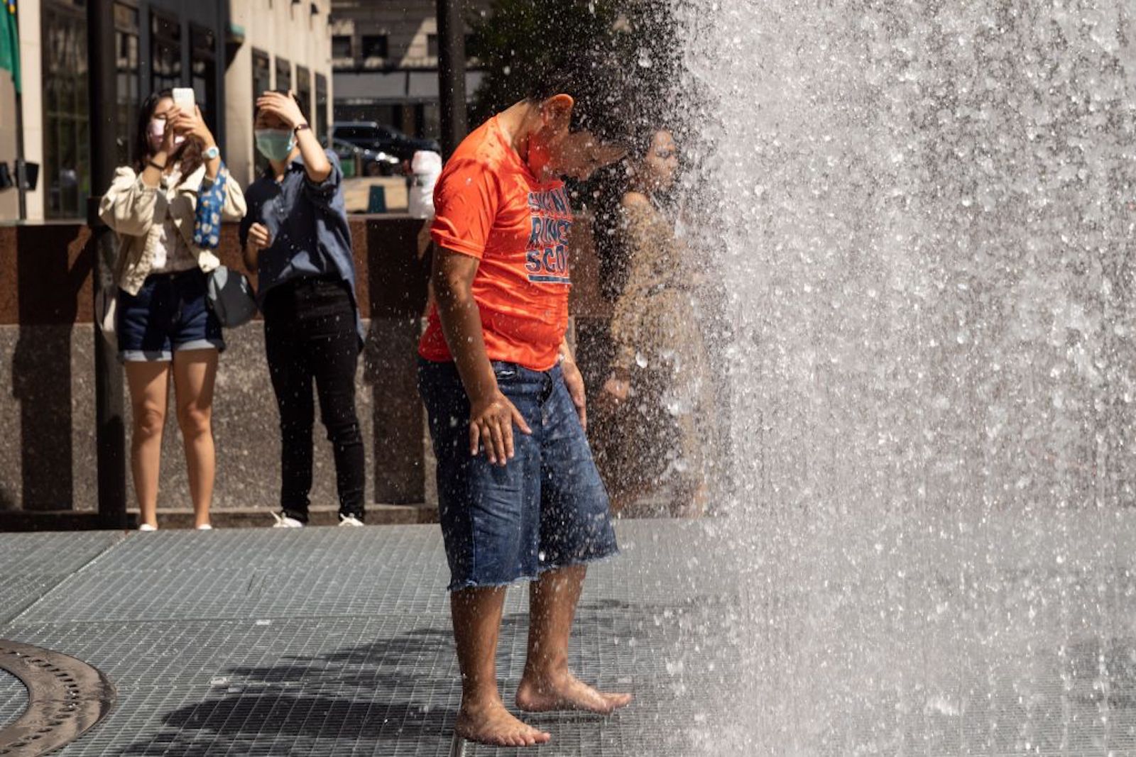 Una Soluci N Natural Bella Y Al Alcance Para Combatir El Calor Extremo