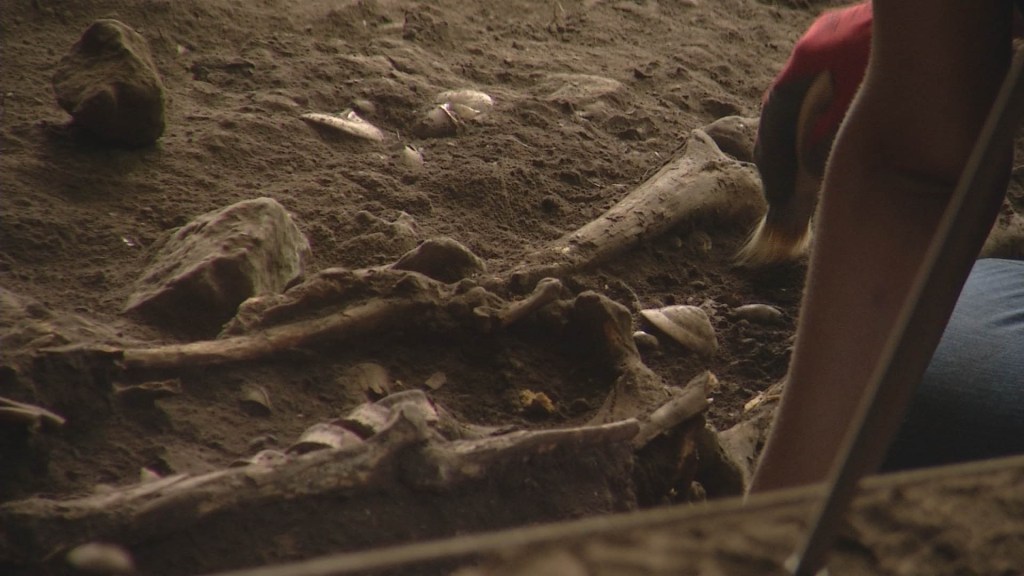 Encuentran cementerio de unos 3.000 años en República Dominicana, según arqueólogo