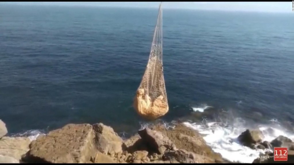 Watch how a cow that fell from a cliff is rescued from the air