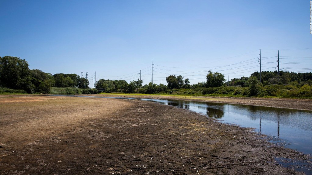 Millions of people will have water use restrictions in the UK