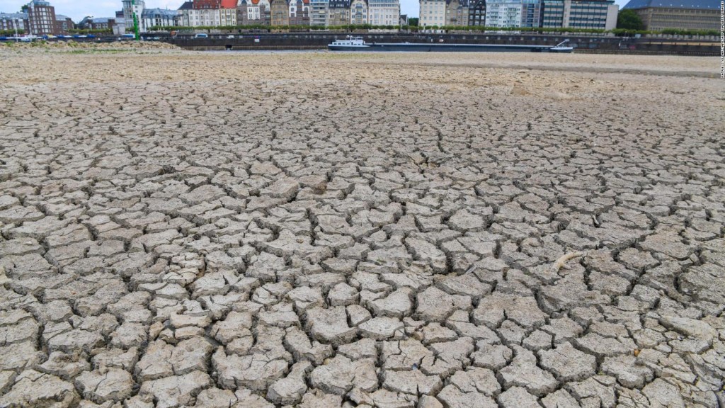 Alert in Europe due to severe drought