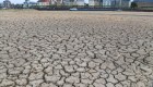 Alerta en Europa por grave sequía
