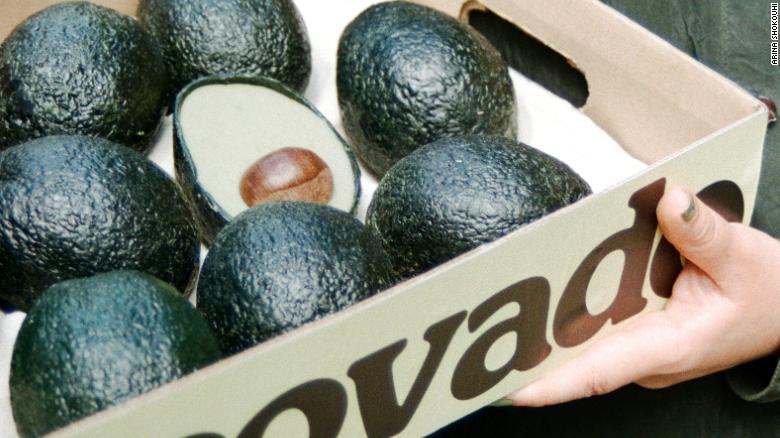 ecovado aguacate