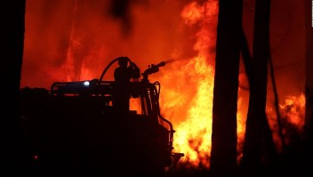 Informan estatus de fuegos forestales en región de Francia