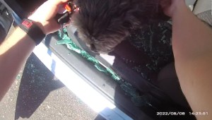Así rescatan a un perro encerrado en un auto y afectado por el calor