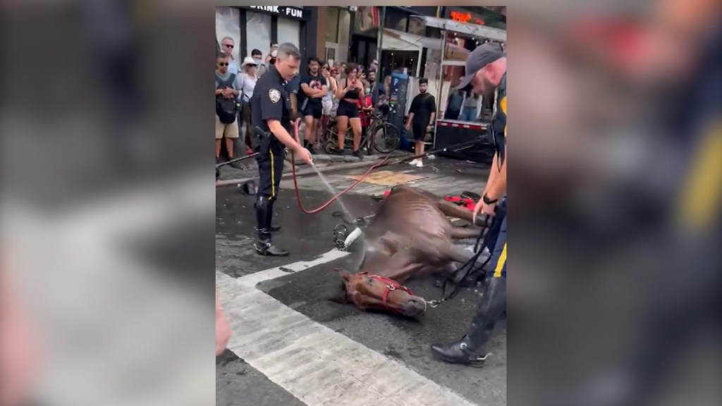 A horse collapses in the middle of a New York street
