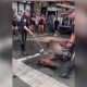 Un caballo se desploma en plena calle de Nueva York