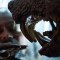 El terrorífico proyecto de Del Toro que estrenará Netflix