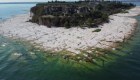 Por la sequía, aparece una nueva playa rocosa en Italia