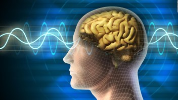 cerebro estimulación memoria