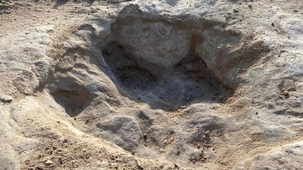 Descubren huellas de dinosaurios por la sequía en Texas