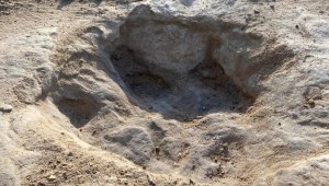 Descubren huellas de dinosaurios por la sequía en Texas