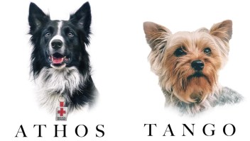 Sentencia de 10 años por la muerte  de los perros rescatistas Athos y Tango
