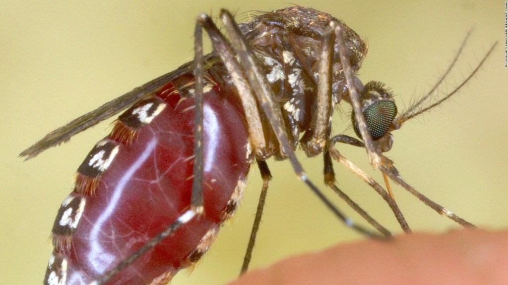 This is the reason for itching when bitten by a mosquito